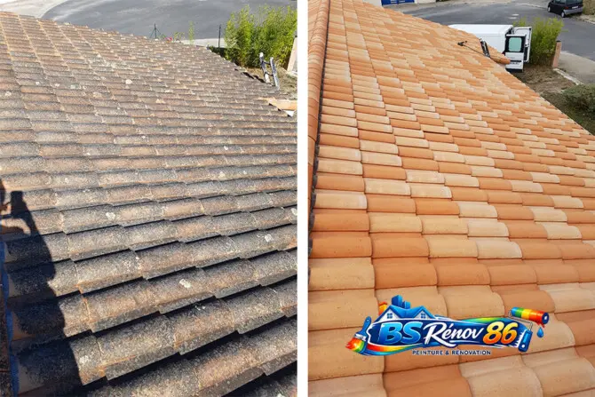 Nettoyage de toiture, démoussage, hydrofuge à Châtellerault Vienne 86